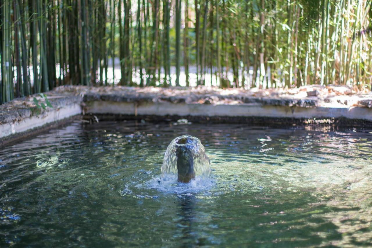 Las Aguas Del Arbuniel Con Pista De Padel Экстерьер фото